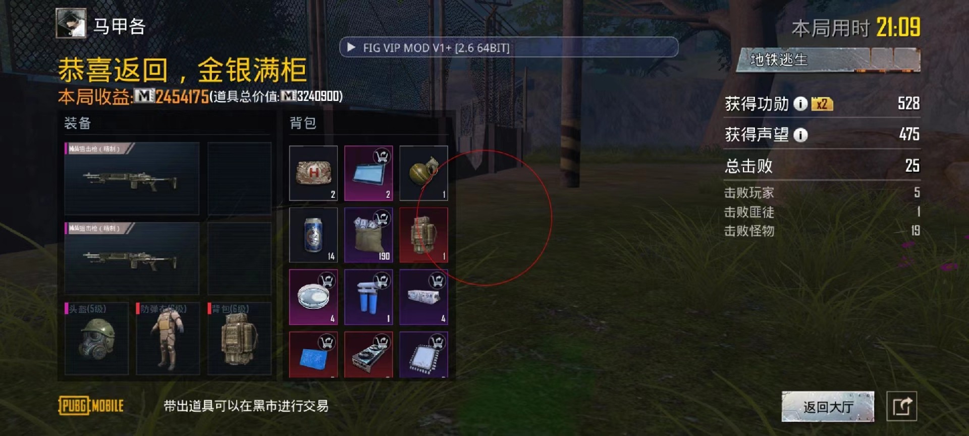 和平精英《敖光》辅助
