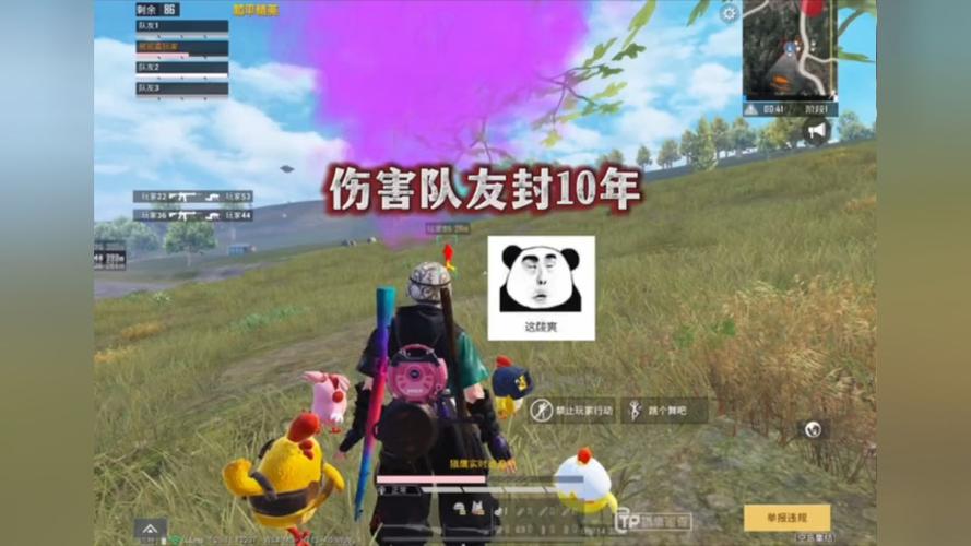和平精英辅助【哪吒容器直装】全图透视 观战透视 增加爆率 锁死自瞄 掩体漏打 物资显示